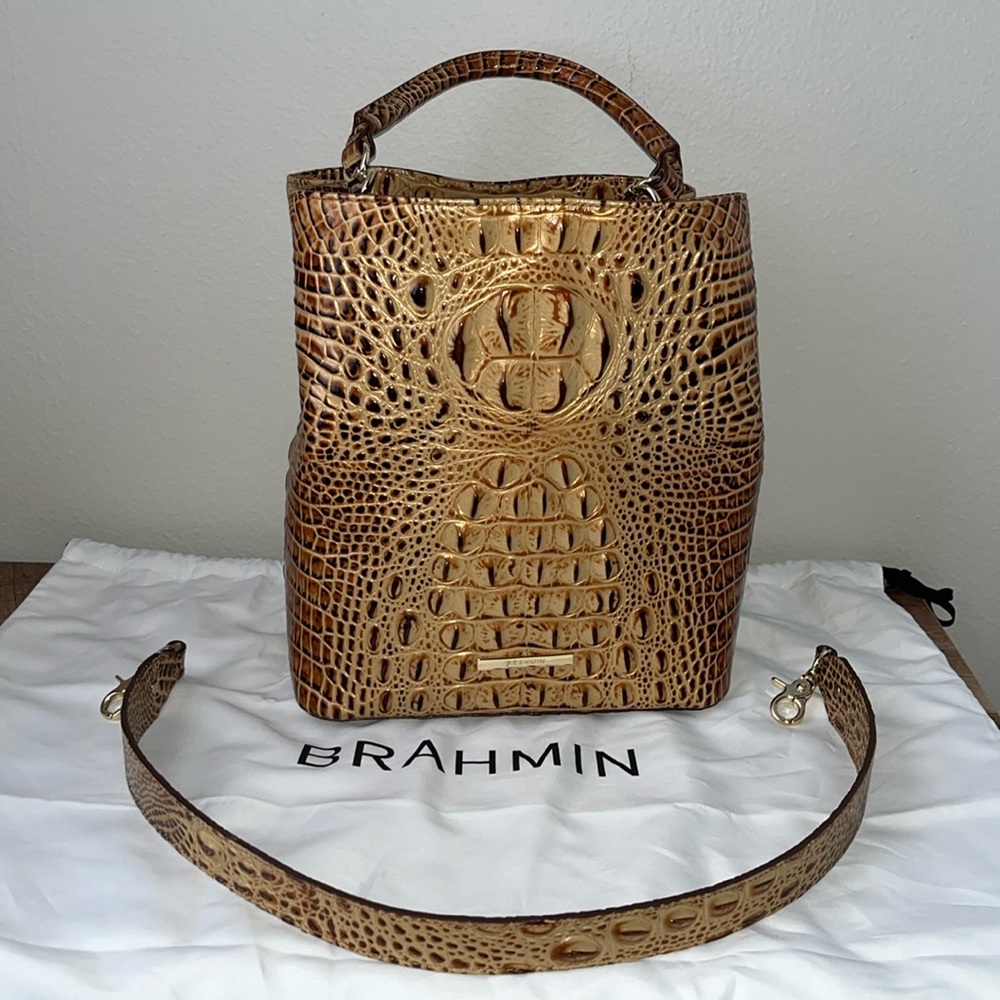 Brahmin Celina